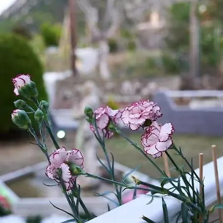 Chrysanthi Luxury In Salakos, With Pool & Jacuzzi, Near Sálakos