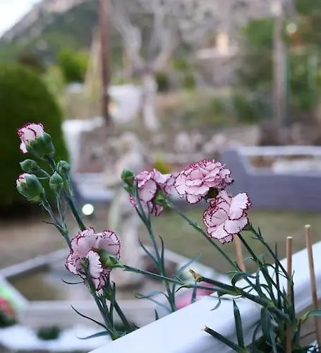 Chrysanthi Luxury In Salakos, With Pool & Jacuzzi, Near Sálakos